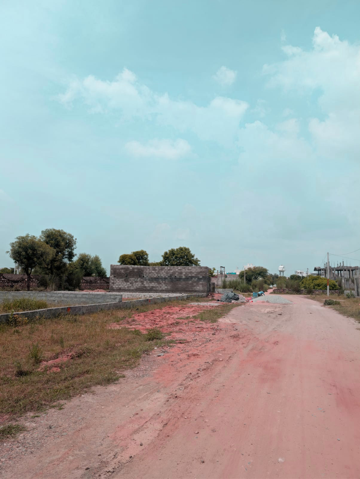 Project View