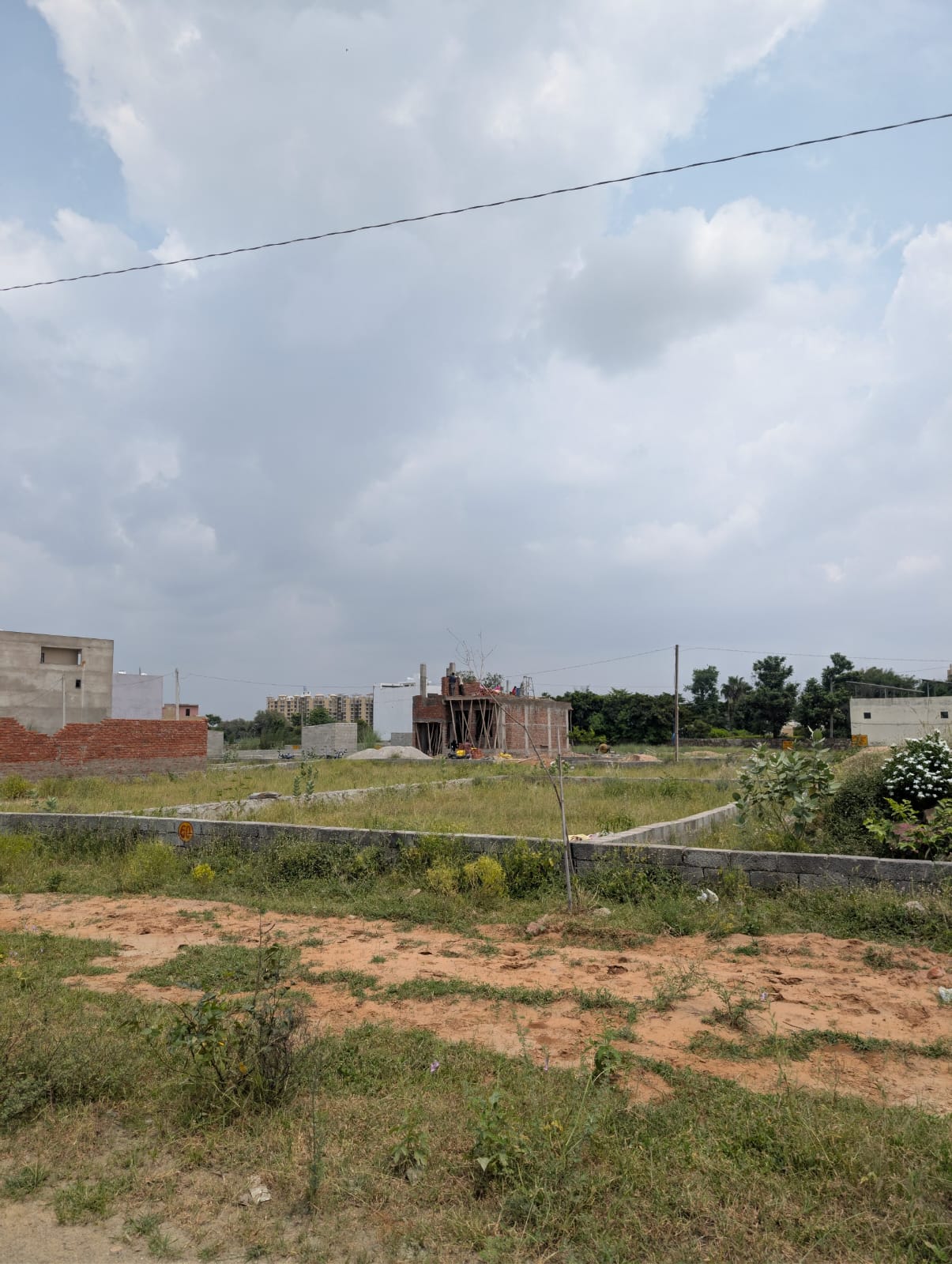 Project View