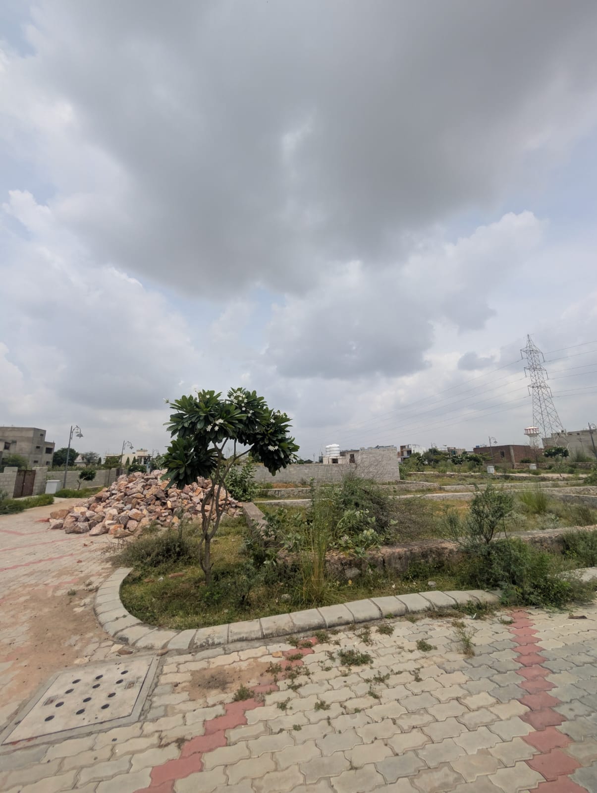 Project View