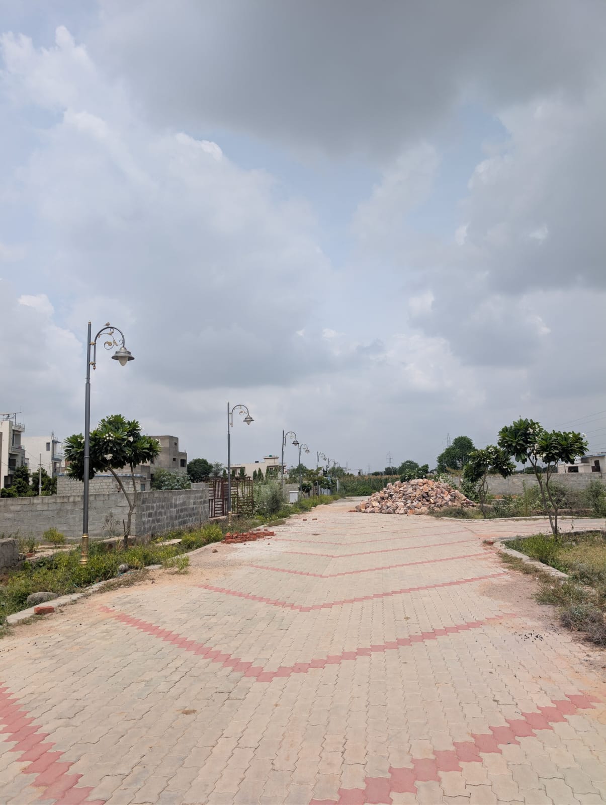 Project View