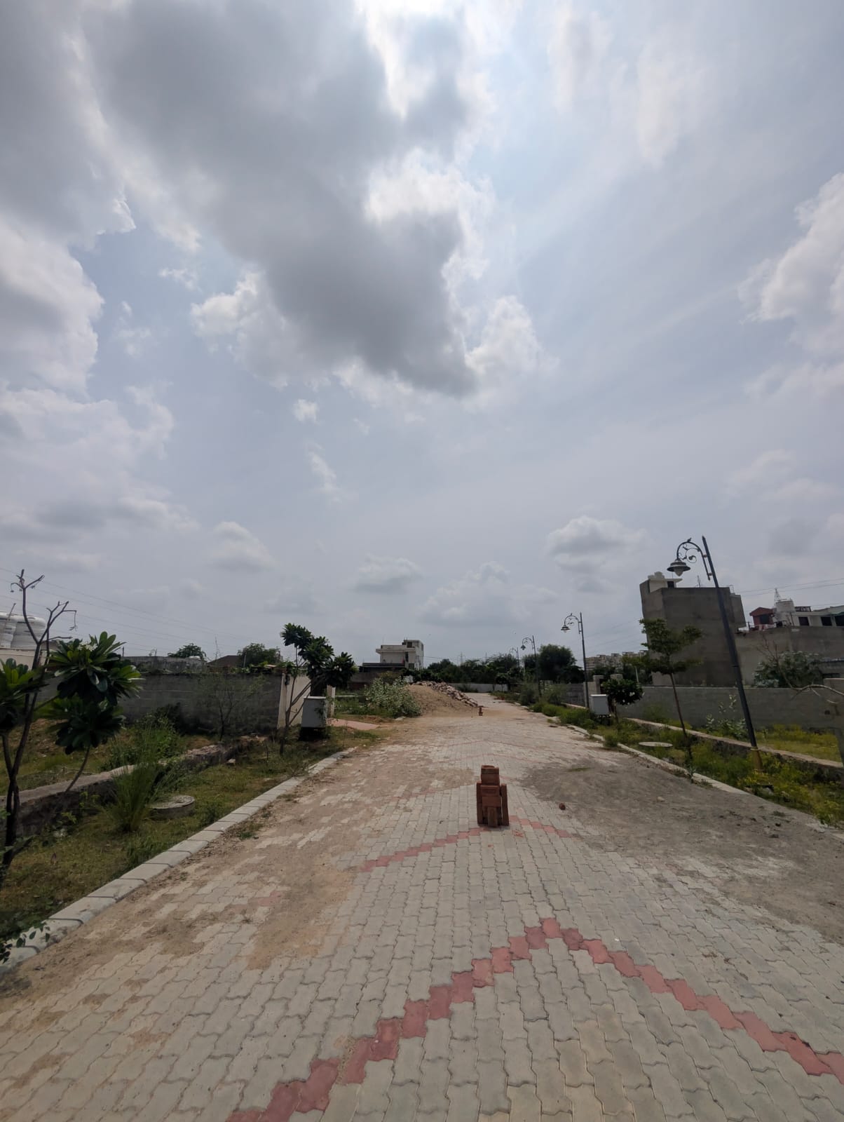 Project View