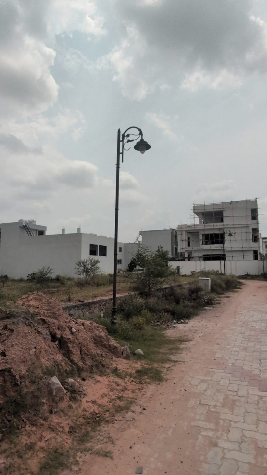 Project View
