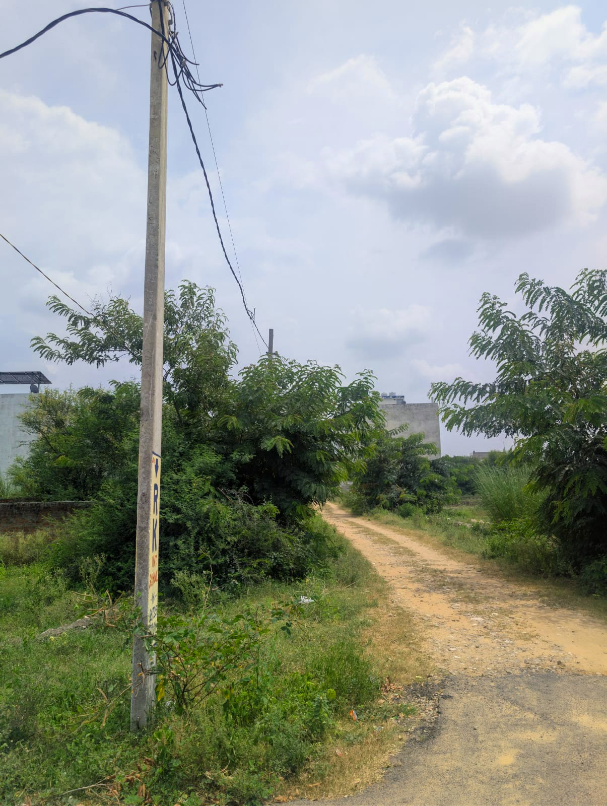 Project View