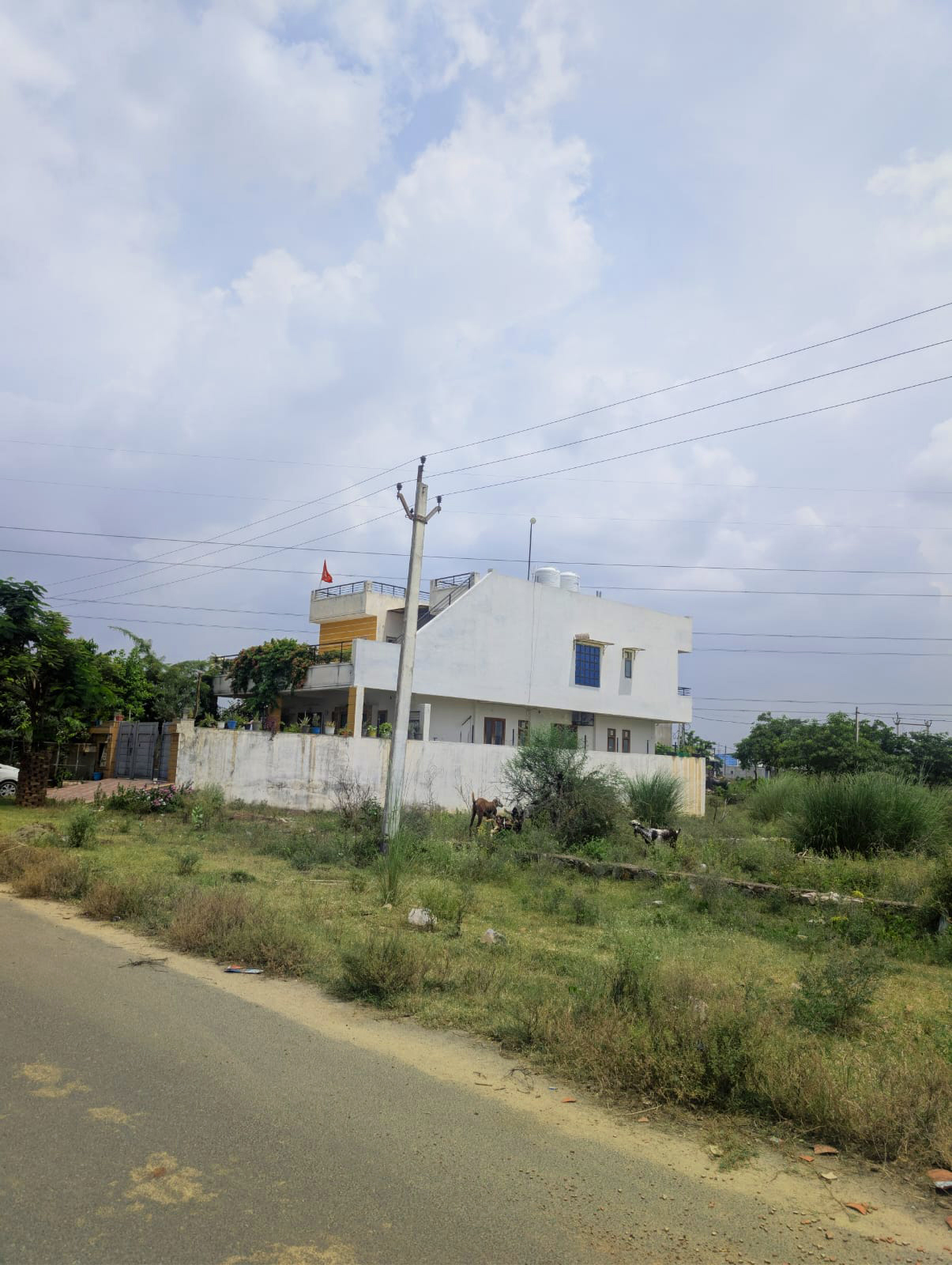 Project View