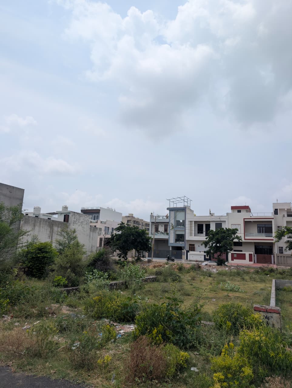 Project View