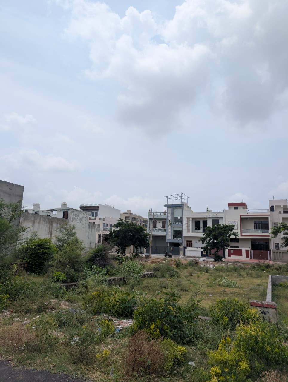 Project View