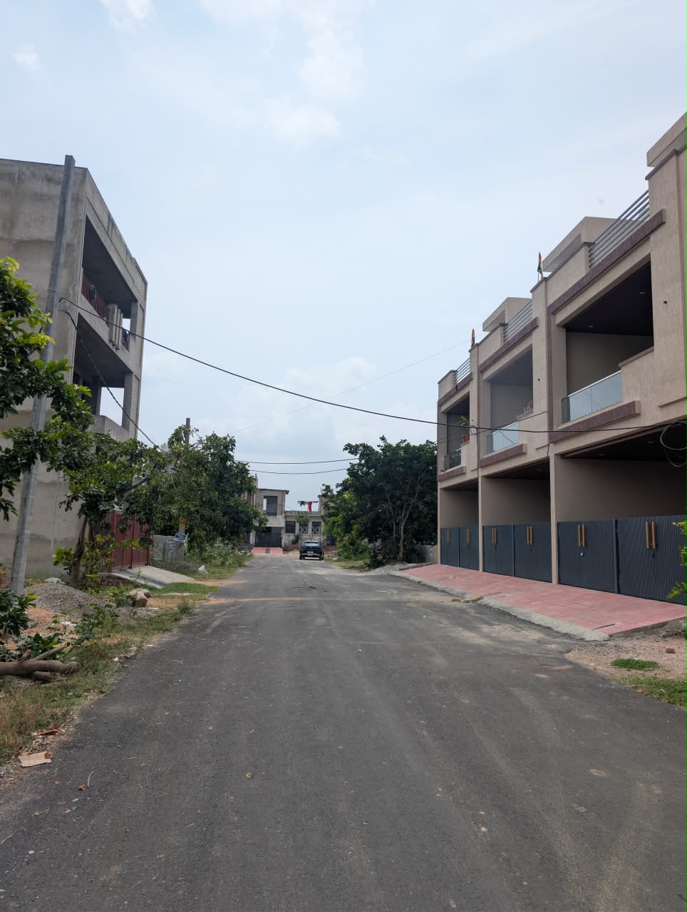 Project View