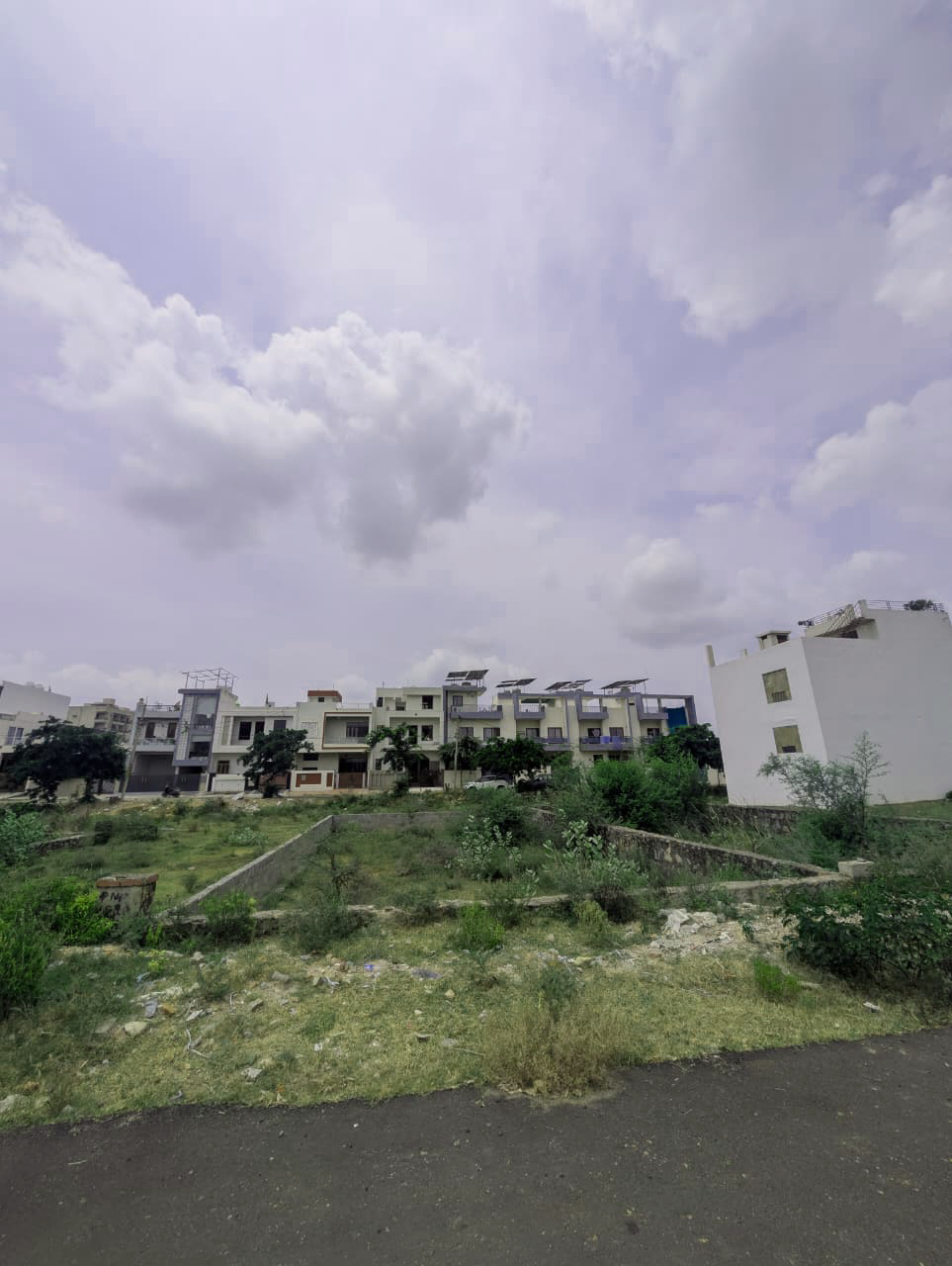 Project View