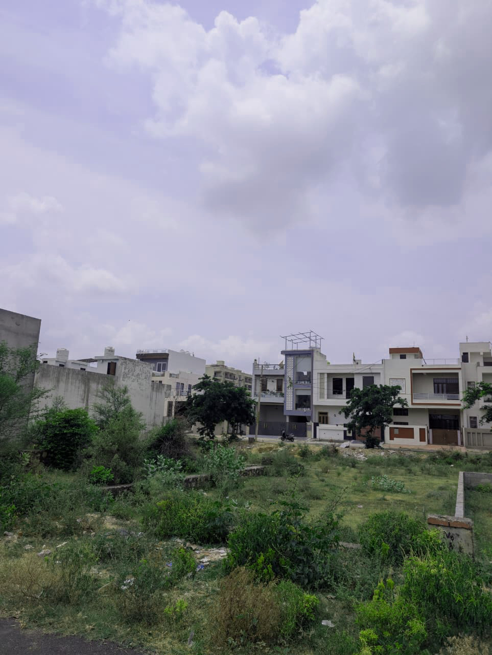 Project View