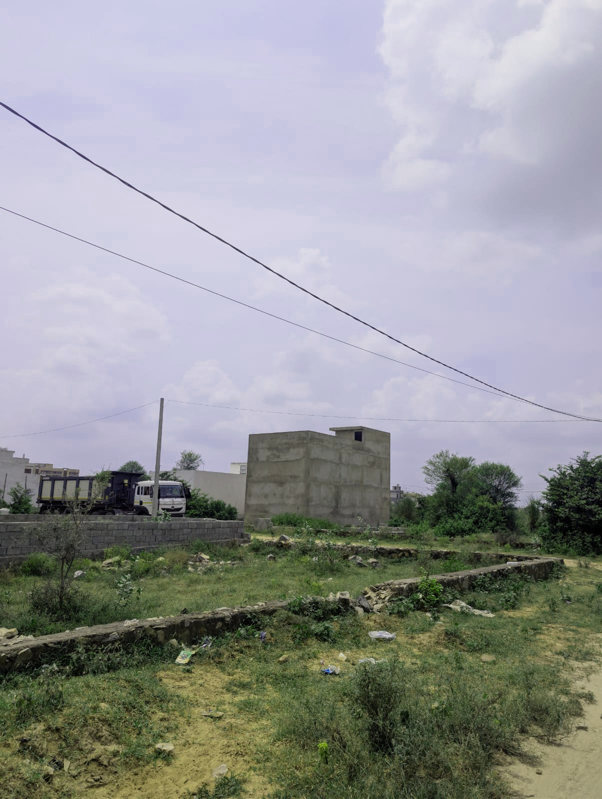 Project View