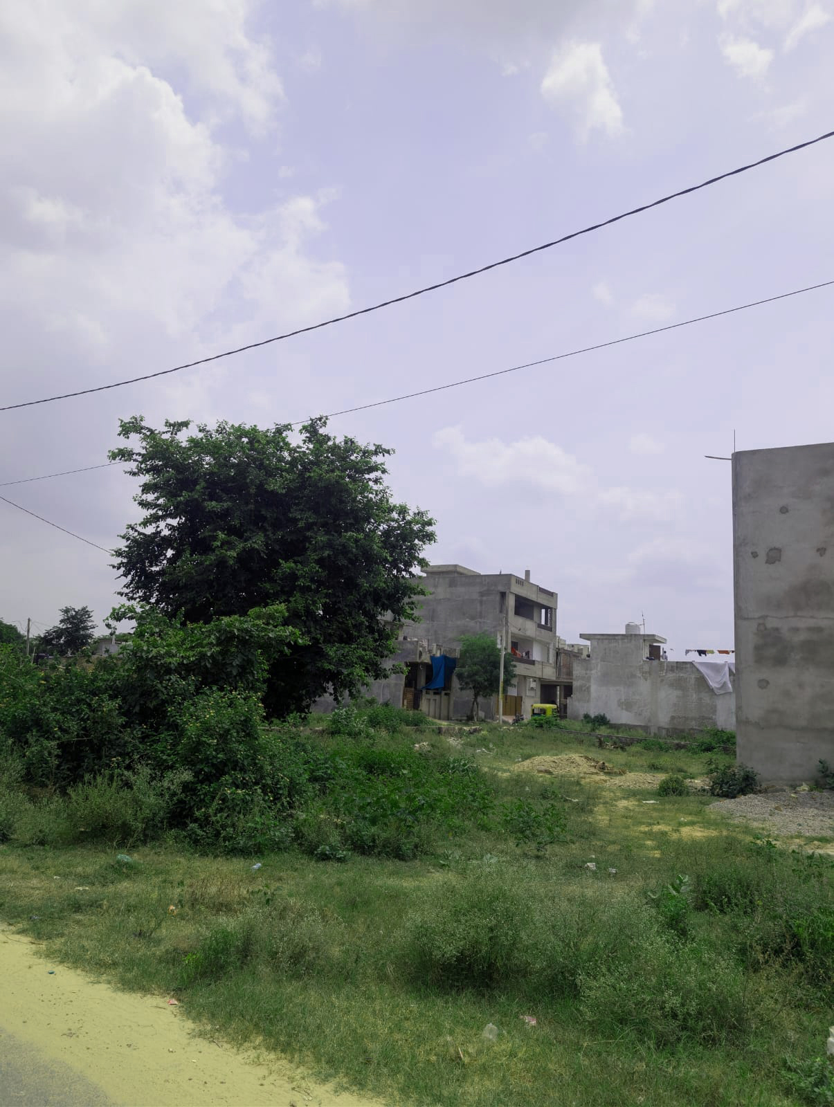 Project View